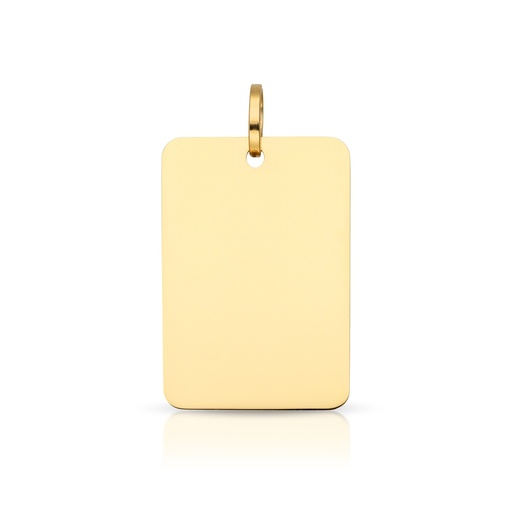 [2062] Colgante Placa
