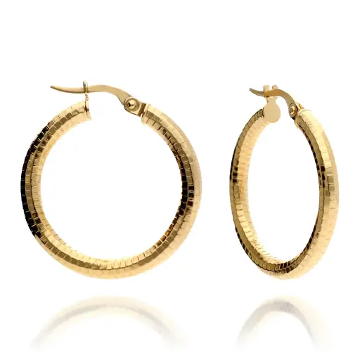 [7213] Pendientes Aros Fantasía